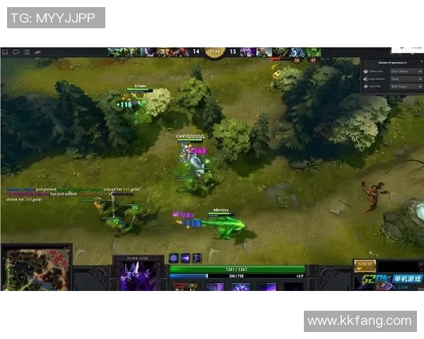 DOTA2战术解析:探寻LNG战队快攻策略的成功之道 DOTA2战术解析:探寻LNG战队快攻策略的成功之道