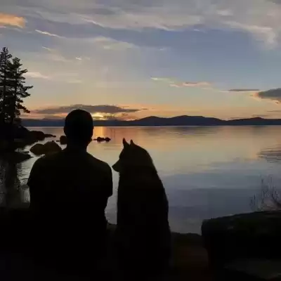 汪彗云